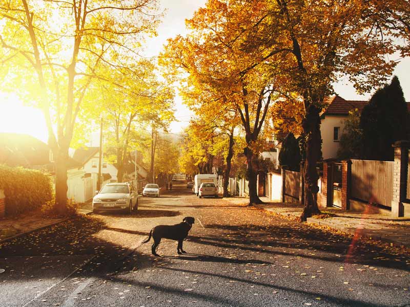 How-Safe-Is-Your-Neighbourhood