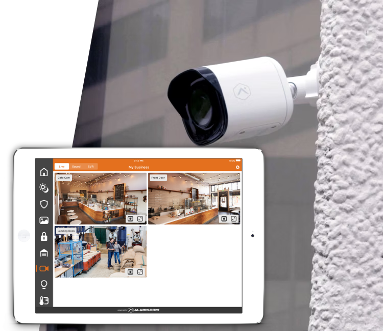 business surveillance video
