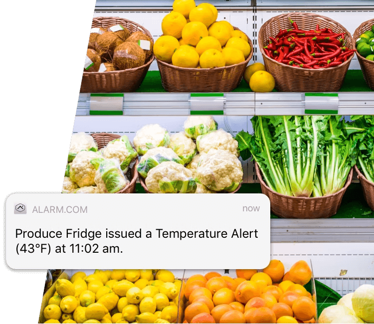 food and restaurant security system