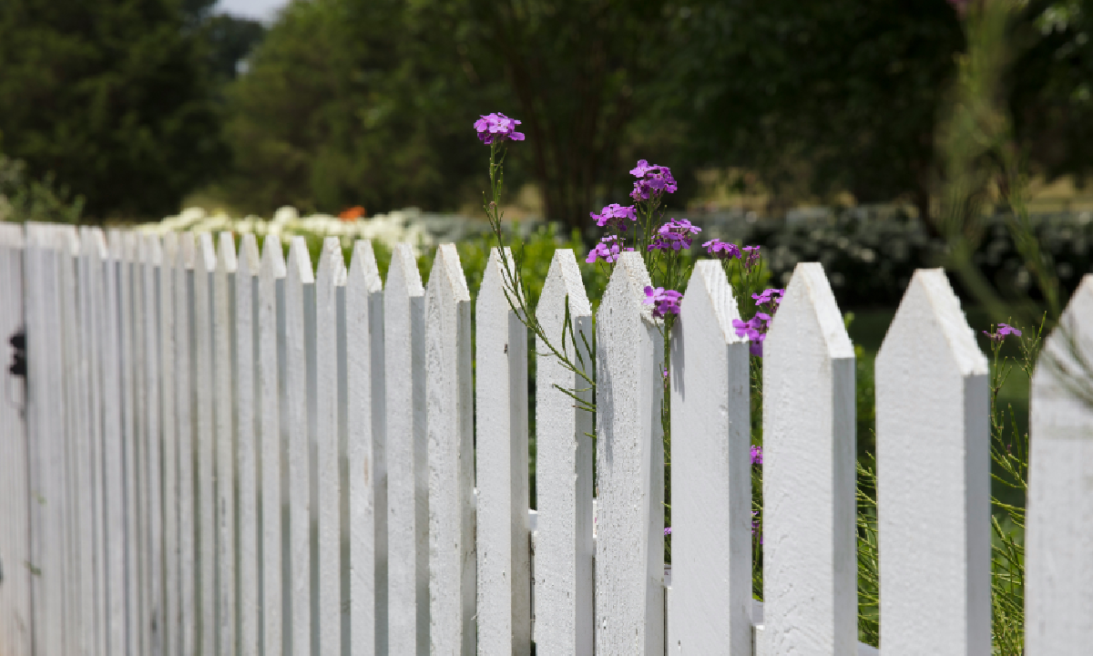 white fence